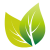 Leaf Icon